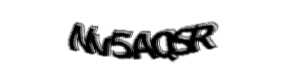 Security check image, please type the characters shown